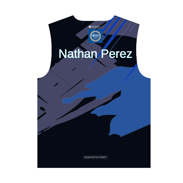 PROLEVEL | Beta Elite Pro-Series Custom Gaming Jersey