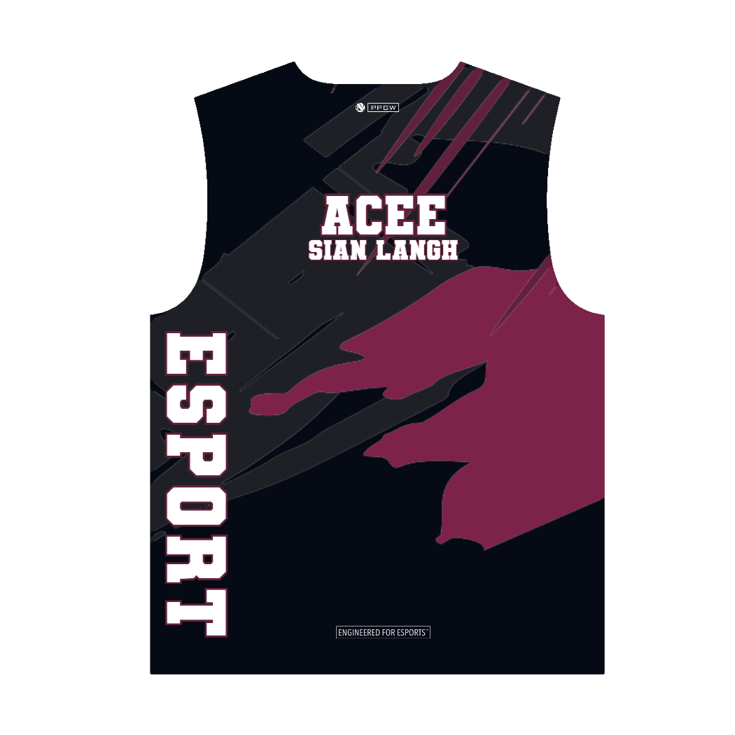 PROLEVEL | Beta Elite Pro-Series Custom Gaming Jersey