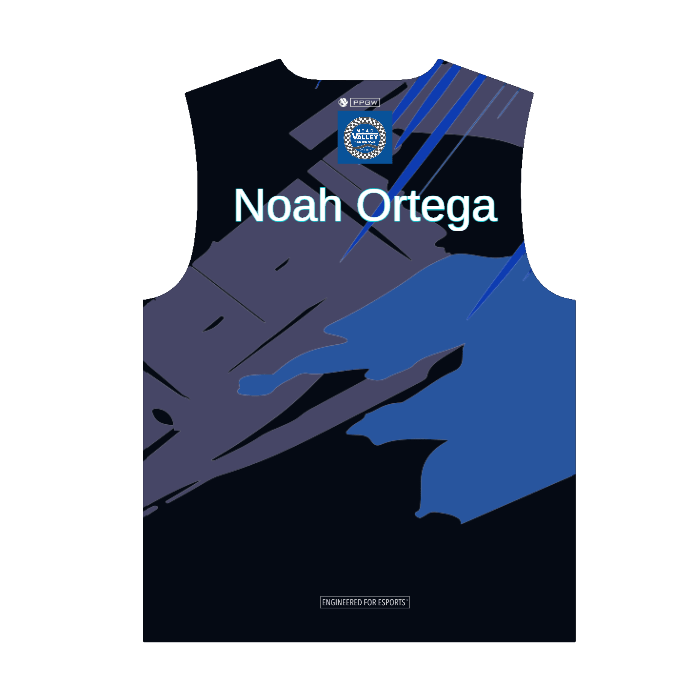 PROLEVEL | Beta Elite Pro-Series Custom Gaming Jersey