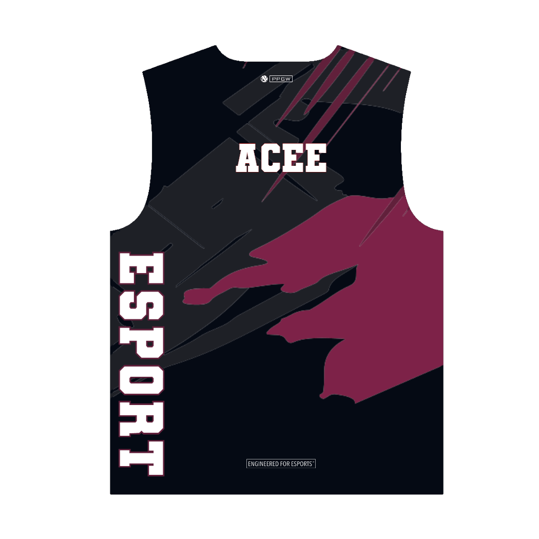 PROLEVEL | Beta Elite Pro-Series Custom Gaming Jersey