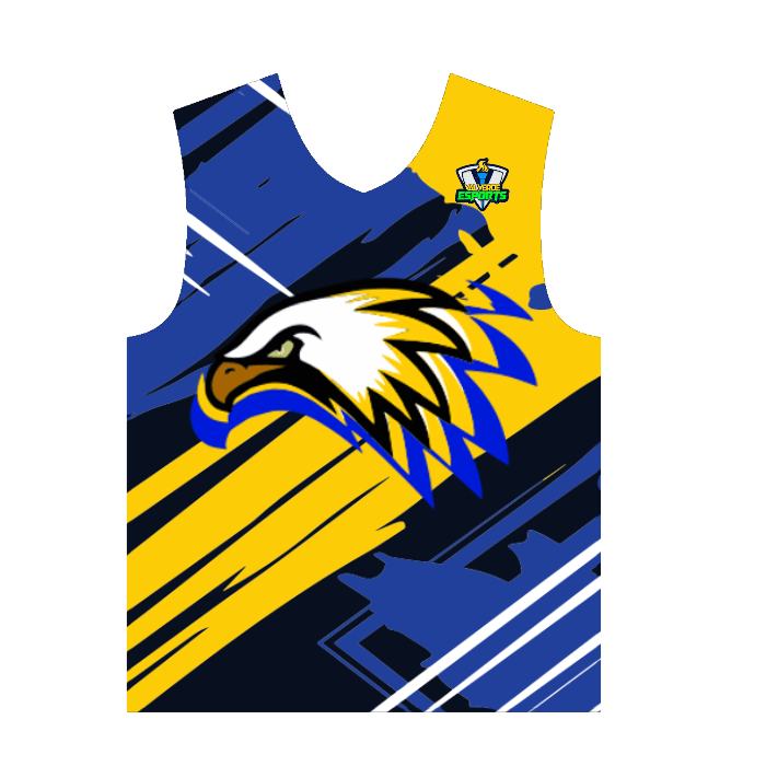PROLEVEL | Beta Elite Pro-Series Custom Gaming Jersey