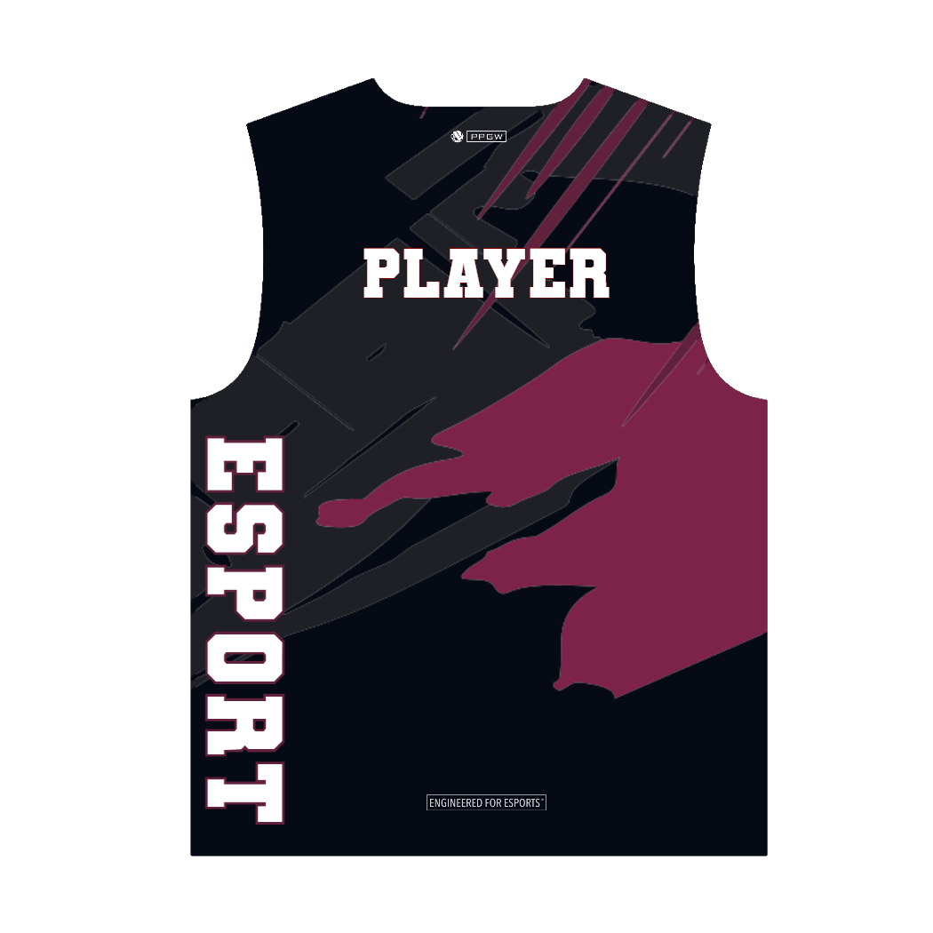 PROLEVEL | Beta Elite Pro-Series Custom Gaming Jersey