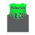 PROLEVEL | Theta Elite Pro-Series Custom Gaming Jersey