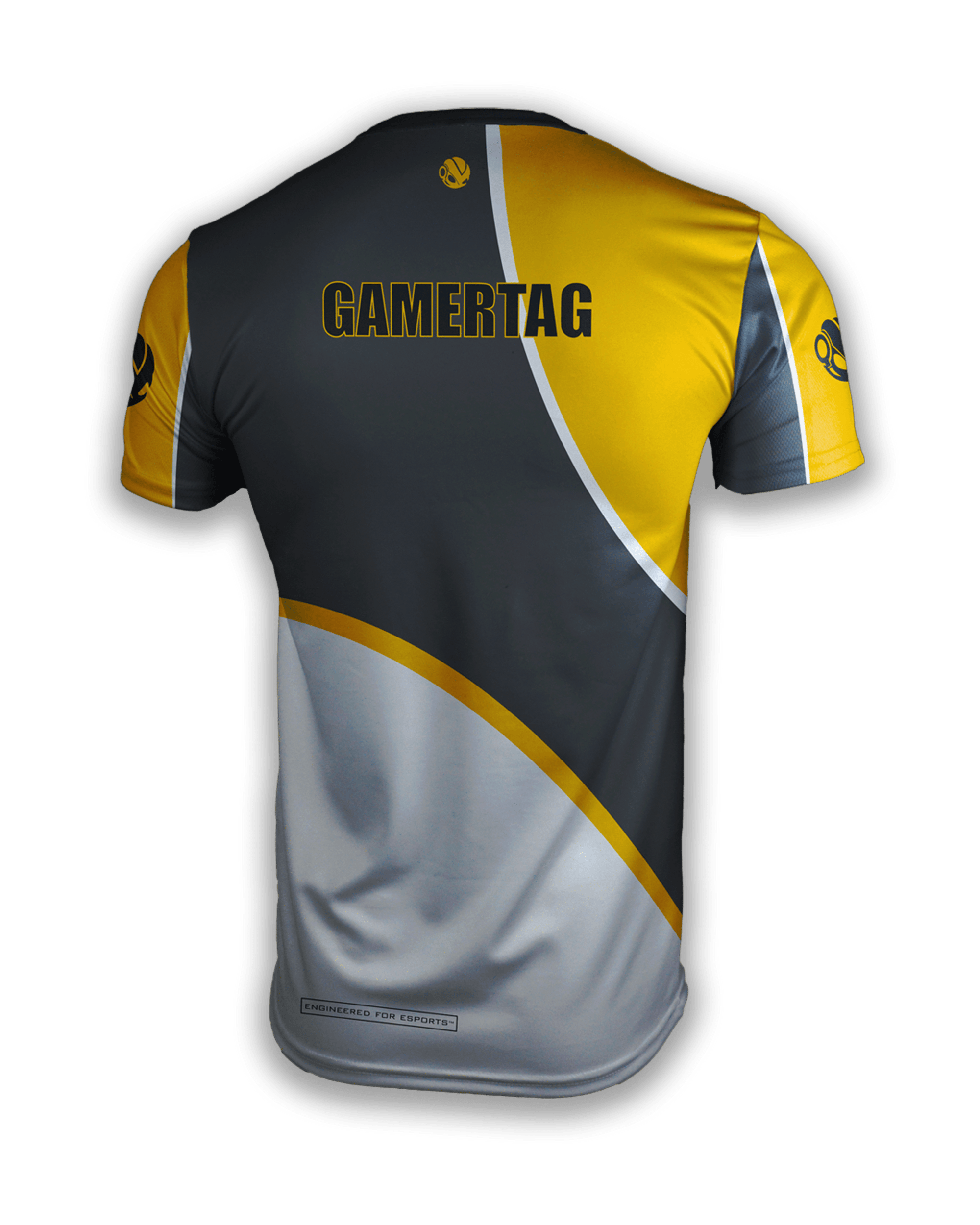 Raid Esports - Pro Jersey 